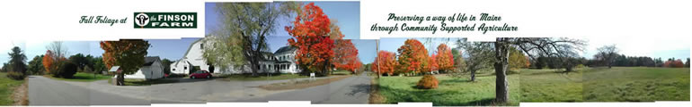 Fall Foliage at The Finson Farm - South Berwick, Maine - Community Supported Agriculture - Loading Image...  Loading Image...